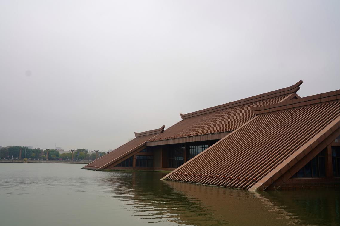 cultural immersion 1