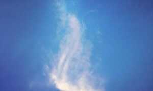 Expedition Budgeting