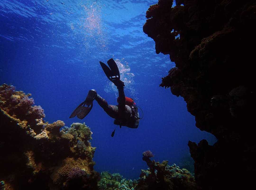 money saving travelers