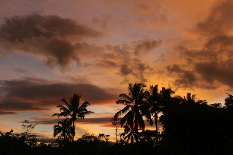 Stunning silhouette of palm trees against a vibrant sunset in Kota Tasikmalaya, Indonesia.