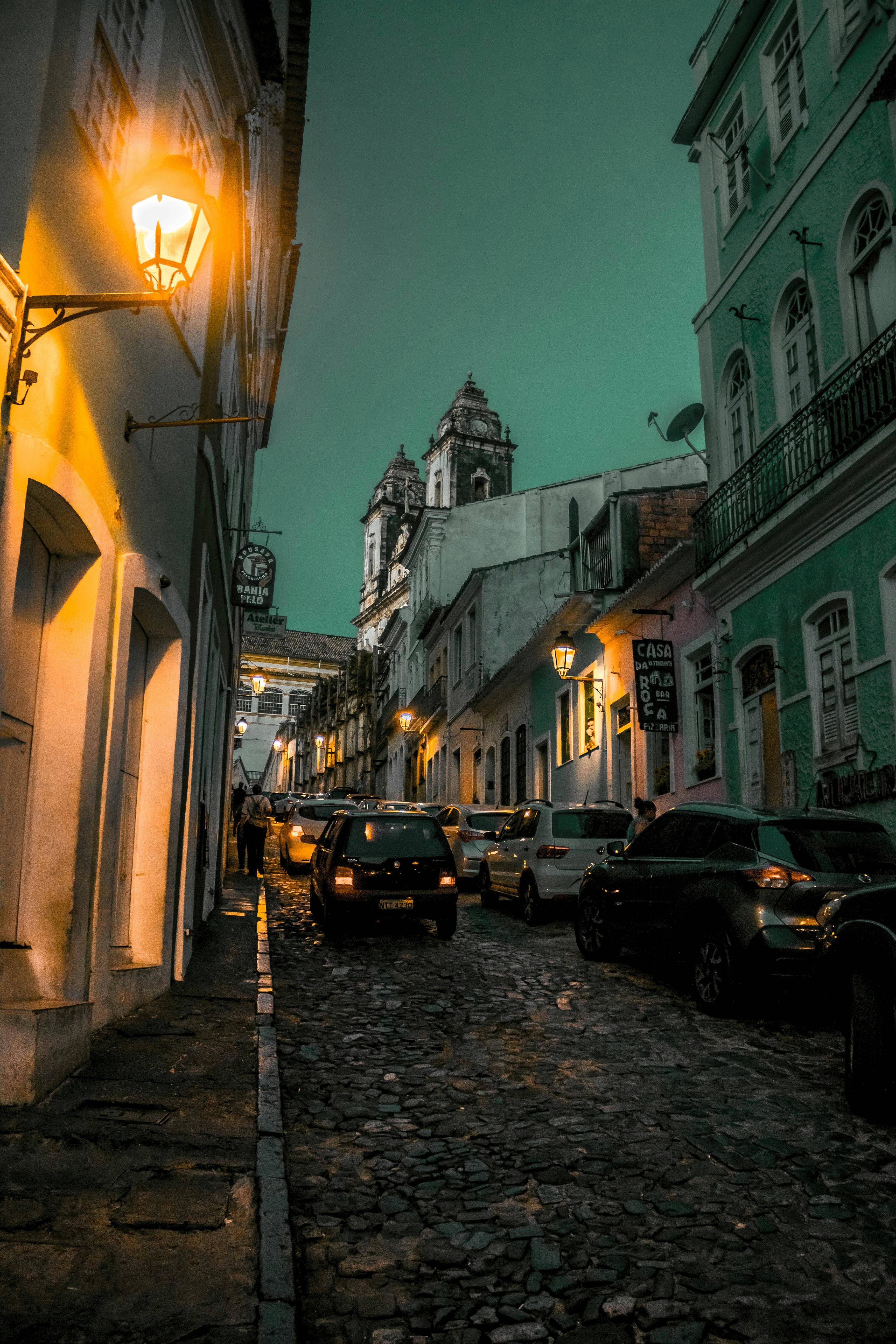 pexels-vitor-gusmao-shimabukuro-1110669-2272825