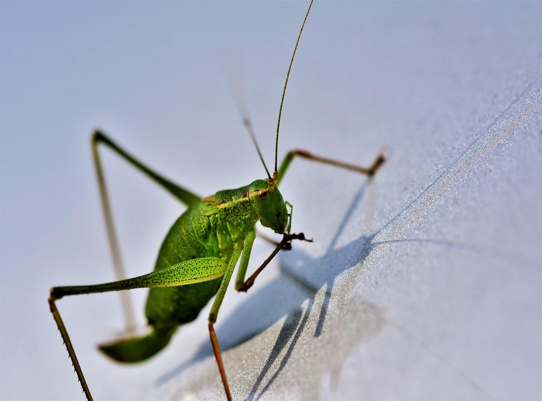 Voucher Codes Lwmfhotels