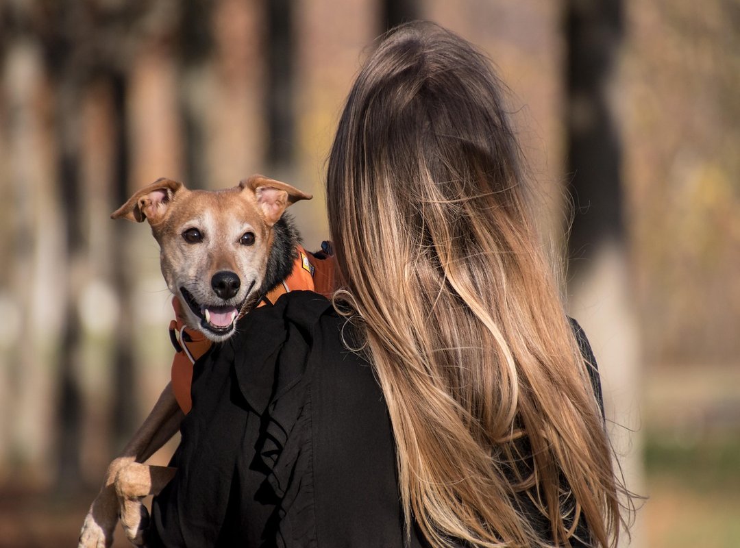 How to Harness Tomorrow's Gemini Energy